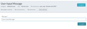 activiti give user input