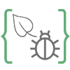 spring - icon