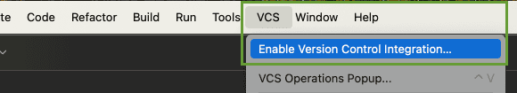 enable version control integration