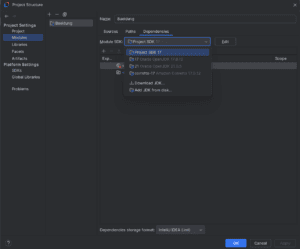 IntelliJ模块JDK设置