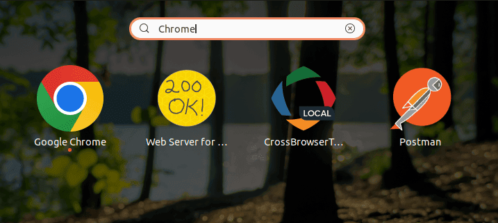 Searching for Google Chrome within the application launcher