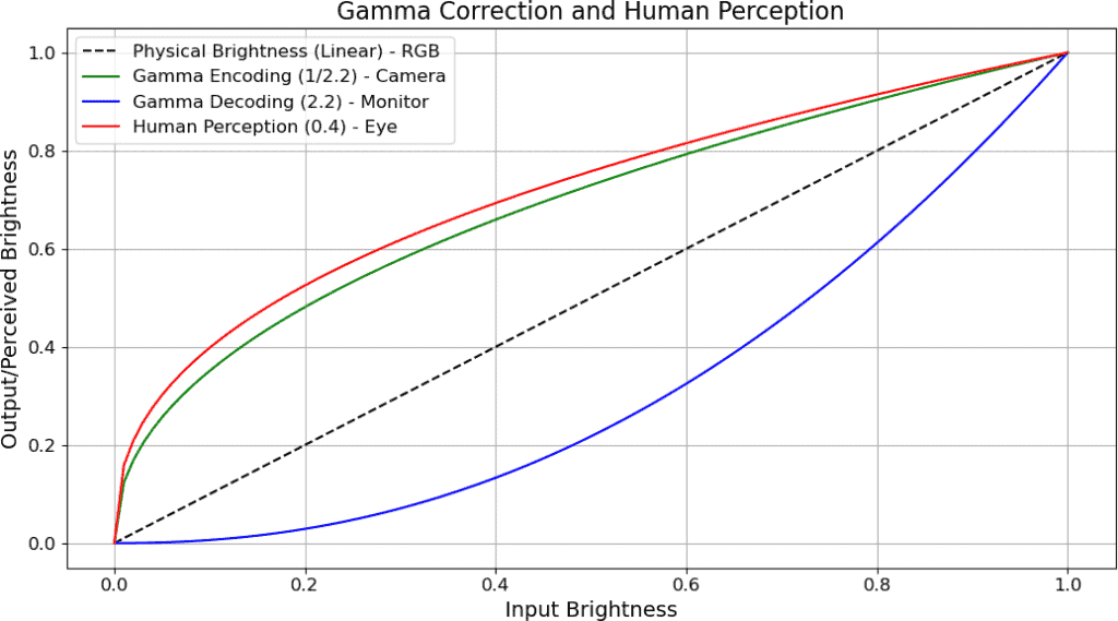 Gamma Correction and Human Perception