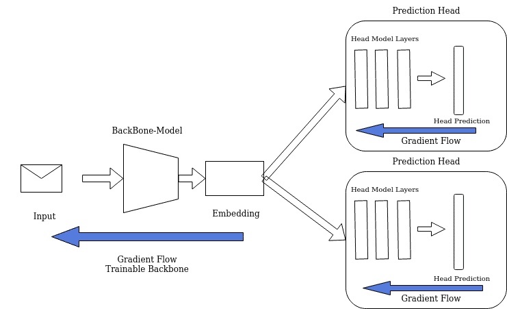 A diagram of a multi-headed network highlighting the gradient flow through each head and combining to flow through the networks shared backbone"