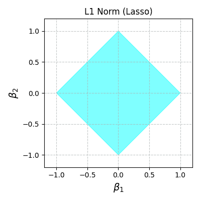 l1 norm feasible region