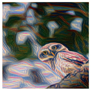 styled owl image 300x300