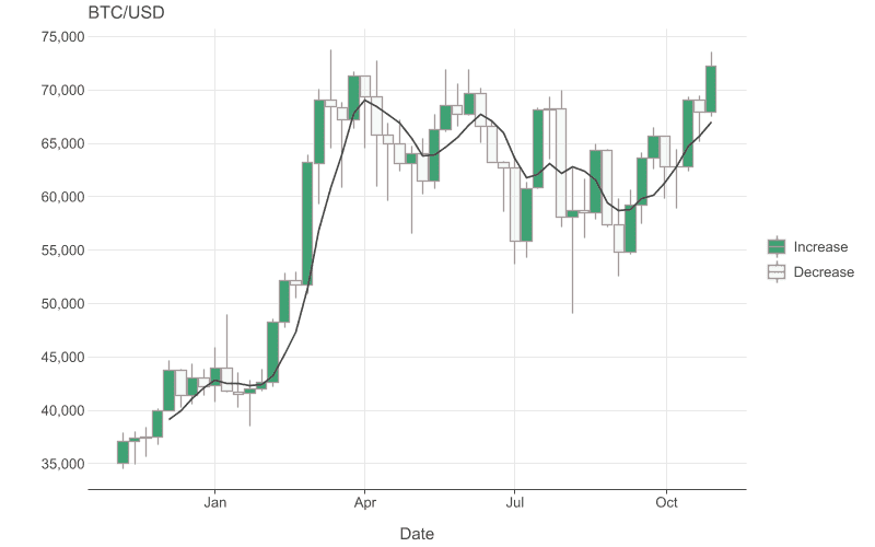 A custom candlestick chart representing the Bitcoin price.